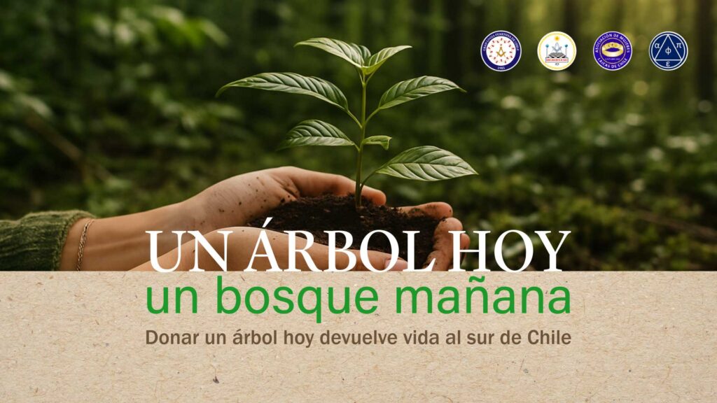 bosque nativo