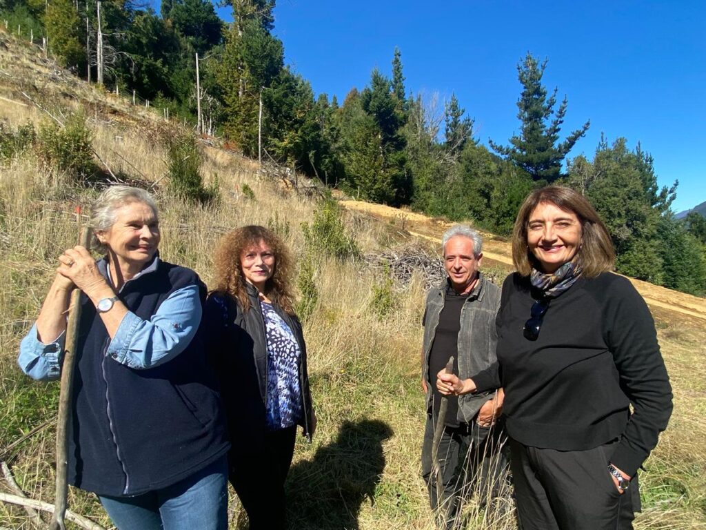 bosque nativo en La Araucanía