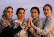 Solidaridad: cuando la fraternidad se transforma en acción