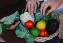 Cada alimento cuenta: el desafío de reducir el desperdicio de alimentos