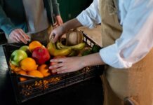 Día Mundial de la Alimentación: “Innovar hoy para nutrir mañana”