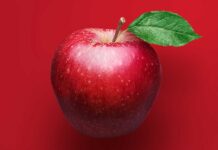Día Mundial de la Alimentación: “Innovar hoy para nutrir mañana”