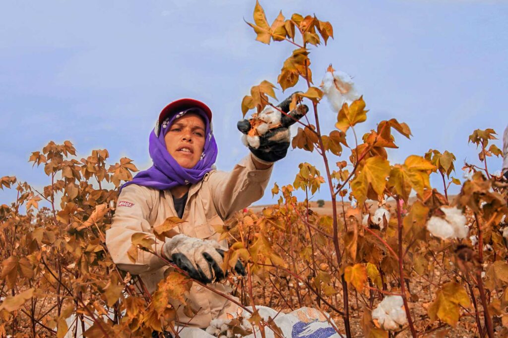 Día de las Mujeres Rurales: Semillas de cambio, raíces de futuro