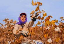 Día de las Mujeres Rurales: Semillas de cambio, raíces de futuro
